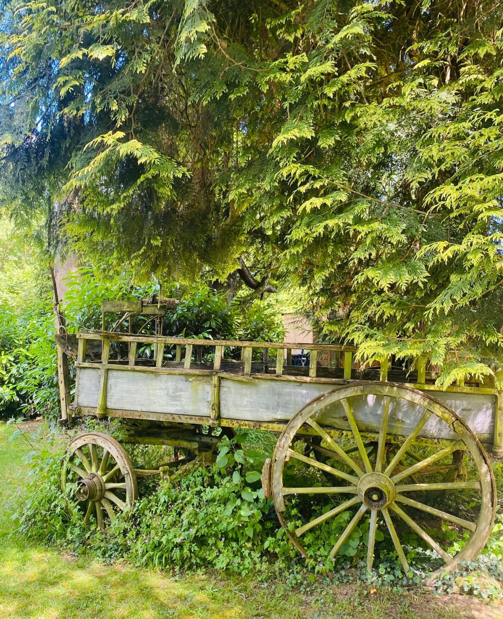 לינה וארוחת בוקר Chasseneuil-sur-Bonnieure Moulin Du Fontcourt מראה חיצוני תמונה